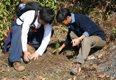 共に植樹