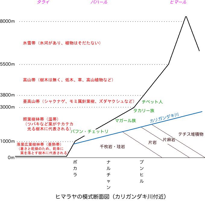 ネパール・ヒマラヤの断面図